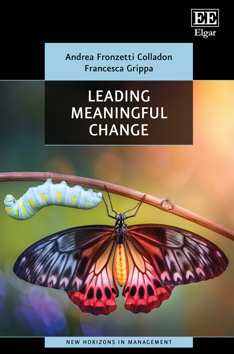 Leading Meaningful Change book cover